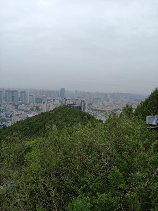茂岭山远看.png