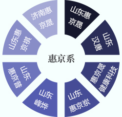 惠京系协作单位结构图示